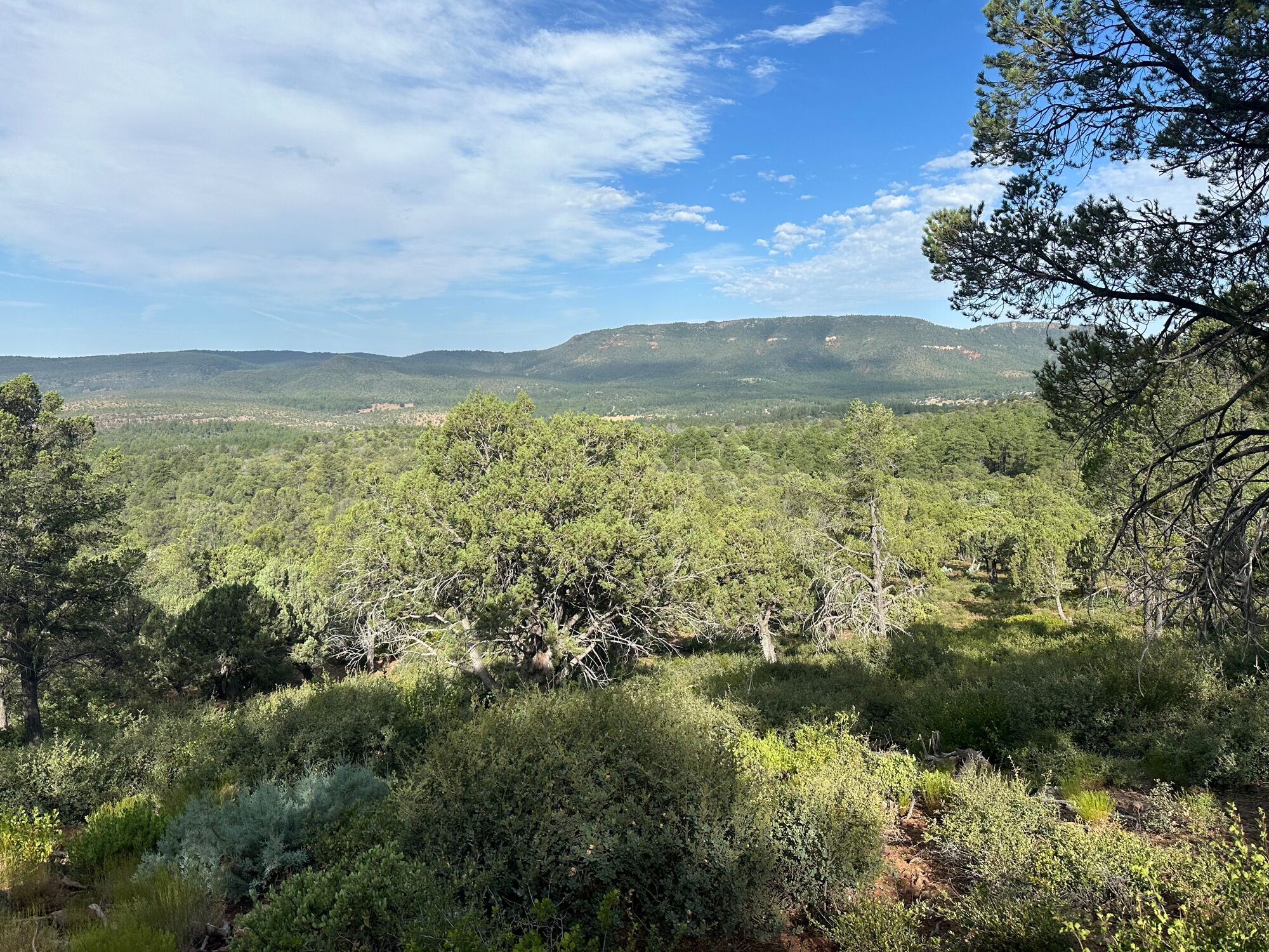 Expansive deck with panoramic mountain vistas